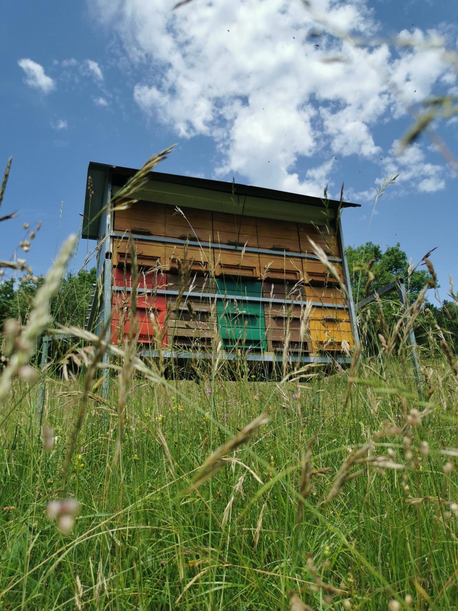 Farm Stay Pri Cepcovih Golac Extérieur photo